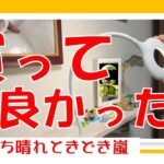 【買って良かった　買わなきゃよかった】　シニアVlog　年金生活　役に立たないアイロン　コレ最高！