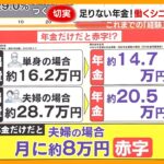 【変化】年金だけでは赤字…働くシニアの稼ぎ方 これまでの｢経験｣や｢人脈｣が収入に【サン！シャインニュース】