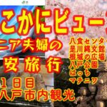 八戸旅行　どこかにビューン シニア夫婦の格安旅行　②１日目 八戸市内観光