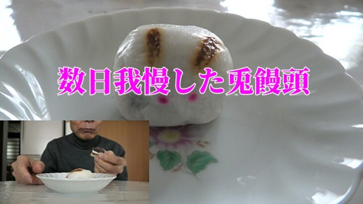 【年金シニアの現実】数日我慢した兎饅頭