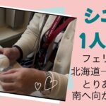 「シニアライフ」1人で車旅チャレンジ