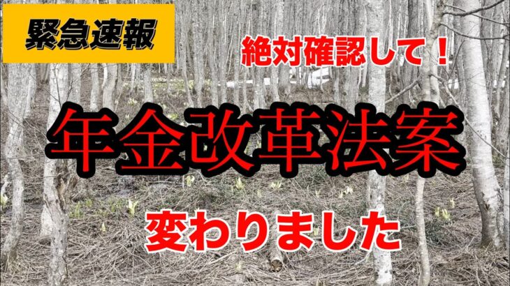 【年金改革法案が閣議決定】「106万円の壁」撤廃など閣議決定！簡単に解説＃年金＃改革法案閣議決定　＃１０６万円の壁　＃シニアライフ　＃シニア夫婦
