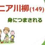 【クスと笑えない、身につまされる、シニア川柳(149) 】修学旅行生と外国人ツアーでにぎわう奈良法隆寺を訪れた。西室三経院と西円堂と弁天池。#ユネスコ世界文化遺産#日本最古木造建築#聖徳太子