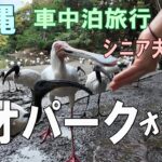 沖縄一周車中泊旅行記16【いくつになってもワクワク！ネオパークオキナワで動物たちとふれあい満喫】シニア夫婦と犬1匹が自作キャンピングシェルで行く