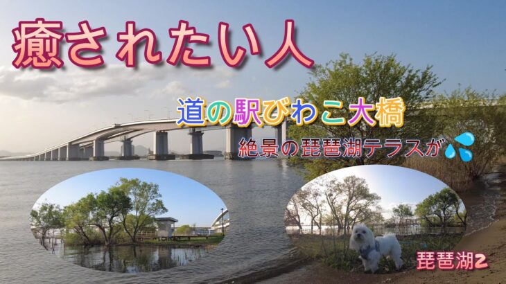 これぞ日本の癒し！シニア夫婦のチャレンジ車中泊、感動の琵琶湖旅（その2）