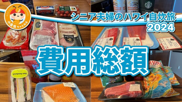 シニア夫婦のハワイ自炊旅2024　費用総額