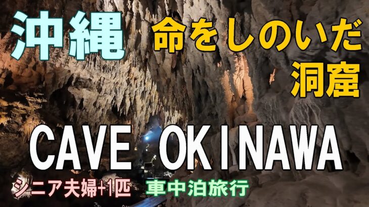 沖縄一周車中泊旅行記23【ケイブオキナワ CAVE OKINAWA】シニア夫婦と犬1匹が自作キャンピングシェルで行く