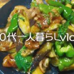 【シニアライフ】人生、あとなん週間/孫と遊園地/豚茄子ピーマン#260