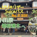 シニアの鉄道食べ歩き旅行🚉🏯♨😋休日限定区間１日乗り放題パス2,670円で群馬→小田原へ、
