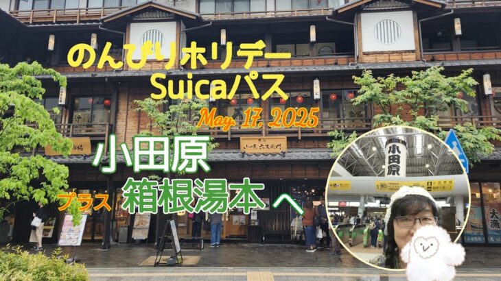 シニアの鉄道食べ歩き旅行🚉🏯♨😋休日限定区間１日乗り放題パス2,670円で群馬→小田原へ、