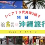 シニア７０代夫婦3組で5泊6日の沖縄旅行（初日）