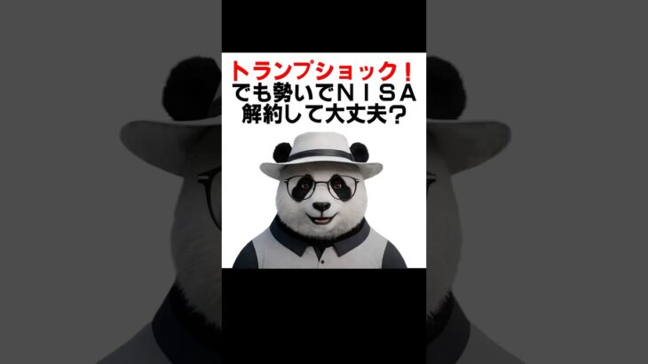 【シニア＆女性お金】　トランプショックで日経平均は過去3番目の下落！そんな時、NISAの積み立てをどうする！？
