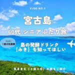 宮古島 気ままな「60代」 シニア ふたり旅