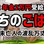 【60代一人暮らし】年金2万円受給者のうちのごはん【シニアVlog】