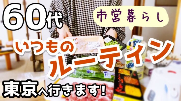 【60代夫婦♦シニアライフ・市営3DK暮らしvlog】いつものルーティン/夏に東京へ/ごはんとおやつ