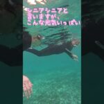 【石垣島】年齢制限なし！72歳シニアシュノーケリング♪5月19日ツアー動画