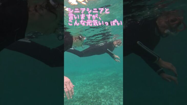 【石垣島】年齢制限なし！72歳シニアシュノーケリング♪5月19日ツアー動画