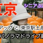 75【東京&日光シニアふたり旅①】ライトアップと東京駅土産探し＊東京パノラマドライブ(はとバス)＊東京あんぱん豆一豆＊豆狸穴子いなり＊ココリスパイ