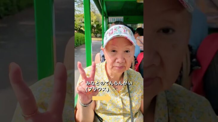 75才母の2025年4月のファッション♡ #シニアライフ #70代 #70代ブロガーやってみたらこうなった #シニア#暮らし#ファッション #おしゃれ
