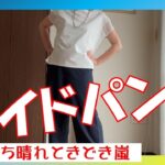【夏のコーディネイト】　年金生活　シニアVlog　娘の離婚　スーパーの新システム　初めてワイドパンツを買いました