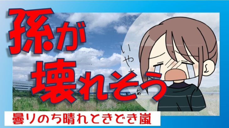 【娘の離婚】　シニアVlog/年金生活/孫が壊れていきます/モラハラ父親/モラハラ夫/80代