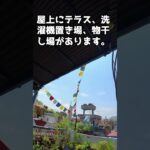 今日は晴れ　屋上テラスの風景　海外年金生活チャンネル#ネパール#カトマンズ#プチ移住海外#シニアVlog#シニアYouTuber