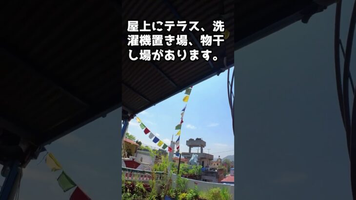今日は晴れ　屋上テラスの風景　海外年金生活チャンネル#ネパール#カトマンズ#プチ移住海外#シニアVlog#シニアYouTuber