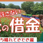 【夫の借金】　年金生活　シニアVlpg　夫の借金が発覚　離婚か借金肩代わりか　ポピーの丘