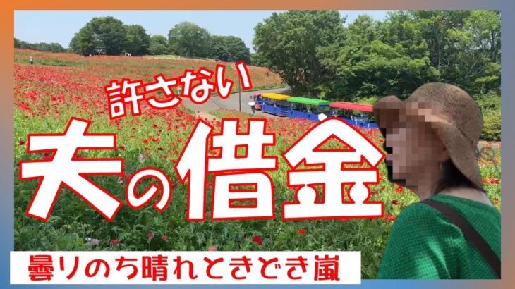 【夫の借金】　年金生活　シニアVlpg　夫の借金が発覚　離婚か借金肩代わりか　ポピーの丘