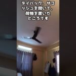 ポカラのホテル　海外年金生活チャンネル　#ネパール#カトマンズ#シニアYouTuber#シニアVlog