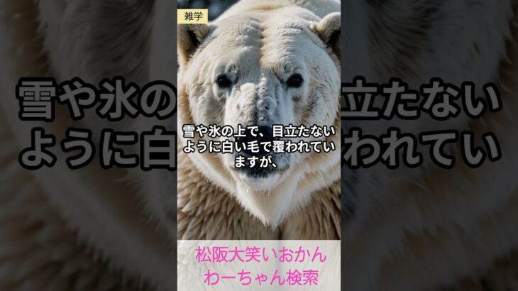 松阪市 シニア向けスマホ活用教室 文字と音で作る 簡単動画作成 白熊肌の色 #shorts