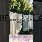 松阪市 シニア向けスマホ活用教室 すぐに調べられる 家事情報 タオルふわり感 #shorts
