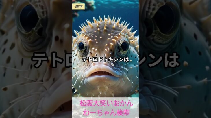松阪市 シニア向けスマホ活用教室 文章が動画になる 簡単編集 楽しさ倍増 #shorts