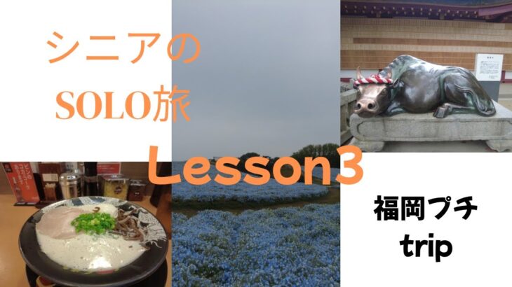 シニアのsolo旅