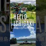 【７０代シニアの母と石垣島２人旅】体力使わないようになるべく歩かない旅行！すぐに売り切れ！？エビそば｜#石垣島#西表島#竹富島#由布島#沖縄#グルメ#旅行#旅#trabel #シニア#シニア旅