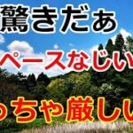 【シニアライフ】のらりくらり年金生活　めっちゃ厳しい娘！マイペースなじいじ　   【のらりくらり年金生活チャンネル】