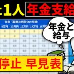 【シニア世代と年金】年金 支給停止｜在職老齢年金｜働き損 解消【シニア世代】老後対策