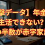 【衝撃データ】年金だけでは生活できない？高齢者の半数が赤字家計に