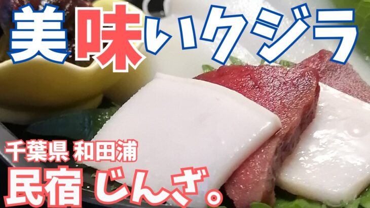 【鯨料理 民宿じんざ】シニア世代必見!!懐かしのあの味を求め。千葉県 和田浦一泊二日どうでしょう？【バイク一人旅】