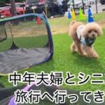 久しぶりの家族旅行！中年夫婦とシニア犬　伊豆高原へ　トイプードル／シニア犬