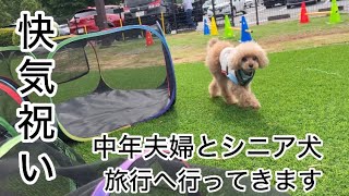 久しぶりの家族旅行！中年夫婦とシニア犬　伊豆高原へ　トイプードル／シニア犬
