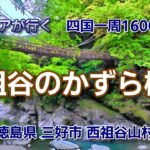 祖谷の秘境かずら橋｜四国旅行の徳島観光、秘境で恐怖のかずら橋 #かずら橋 #祖谷のかずら橋 #徳島科研の秘境 #祖谷峡