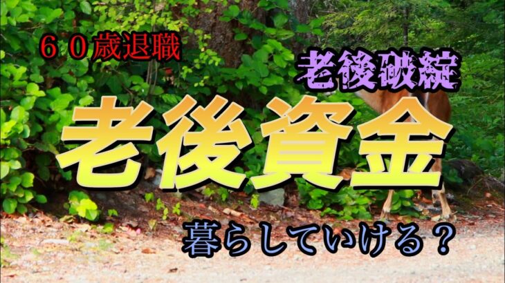 【定年後】定年後の生活年金暮らしは？初めての老後資金＃６０歳退職　＃老後資金　＃定年後の資金　＃年金　＃シニアライフ