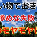 【シニアライフ】のらりくらり年金生活　買い物でおきた惨めな失敗！でもこのモヤモヤは…   【のらりくらり年金生活チャンネル】