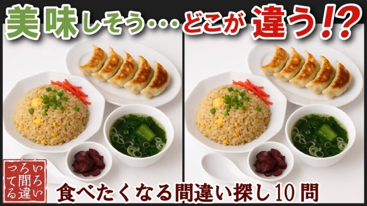 【間違い探しで脳トレ】シニアにおすすめ！美味しそうなグルメ料理画像で無料クイズ｜大人の脳活にも◎お腹がすいて食べたくなる難問