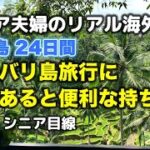 シニアの海外旅行の準備や必需品 (シニア ライフ)