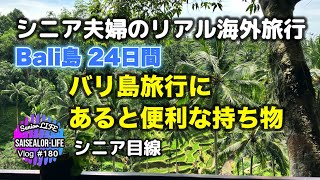 シニアの海外旅行の準備や必需品 (シニア ライフ)