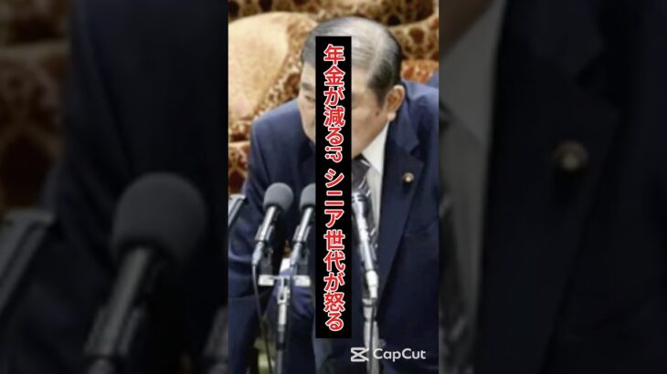 📉年金が減る!? シニア世代が怒る「改革法案」の中身とは？