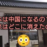 【シニア看護師一人暮らし】日本は中国になるの？お米はどこに消えたの？　#一人暮らし #年金暮らし#平野雨龍