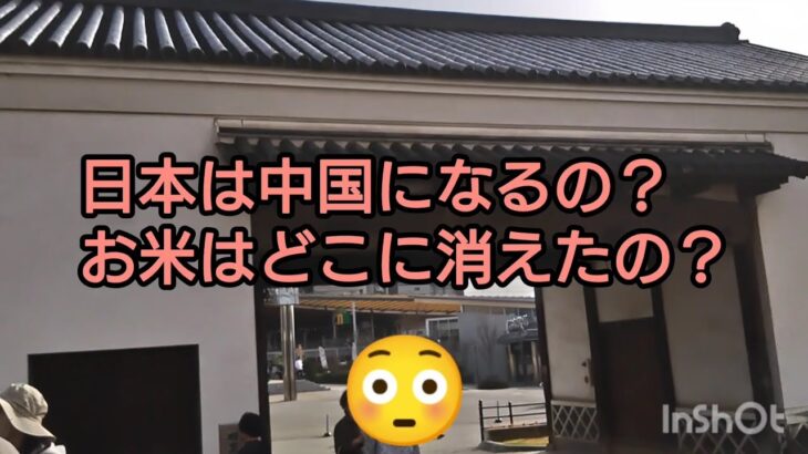 【シニア看護師一人暮らし】日本は中国になるの？お米はどこに消えたの？　#一人暮らし #年金暮らし#平野雨龍